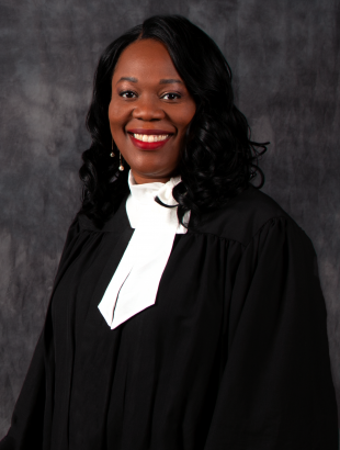 Judges Ninth Judicial Circuit Court Of Florida